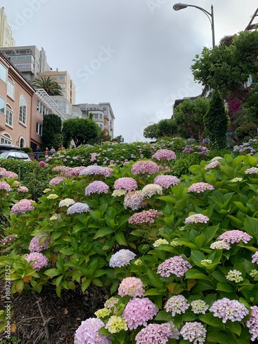 Tableau sur toile Iconic Lombard Street brick switchbacks framed by lush hedges overlooking straig