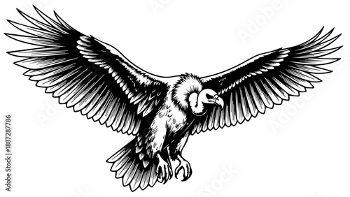 Black and white illustration of a vulture in mid-flight with extended wings and open beak