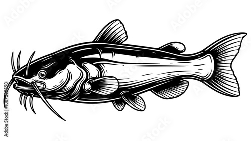 High-contrast black-and-white illustration of a detailed catfish facing left with intricate fins and barbels