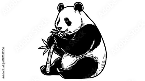 Black and white illustration of a panda eating bamboo