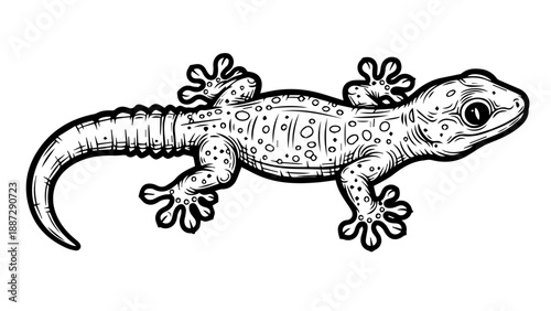 Black and white line art illustration of a lizard in side profile