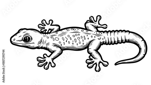 Black and white illustration of a detailed lizard in a dynamic side profile