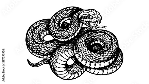 Two snakes in a dynamic coiled embrace on a black background