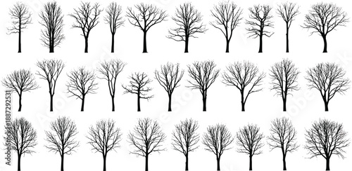 Collection of various bare trees silhouetted against a plain background from different viewpoints and perspectives in illustration format