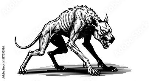 Black and white illustration of a predatory animal in a crouched stance, poised to strike