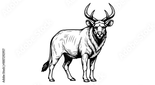 Black and white illustration of a majestic antelope with large antlers