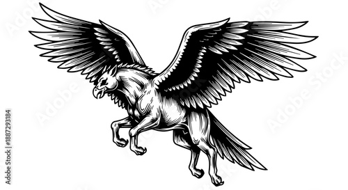 Black and white illustration of a griffin in mid-flight