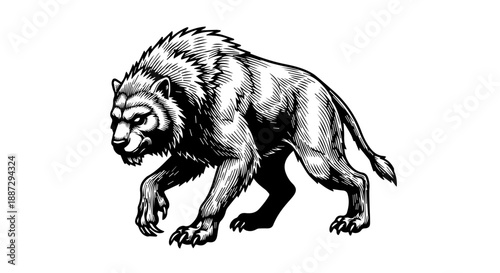 Black and white illustration of a powerful bear in a dynamic three-quarter pose