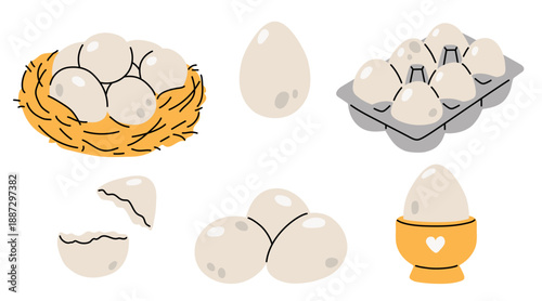 clean Easter vector eggs in different compositions prepearing for coloring: in a nest, egg carton, egg stand, cracked egg, group of three and single egg. Colourful patterned eggs, flat vector illustra