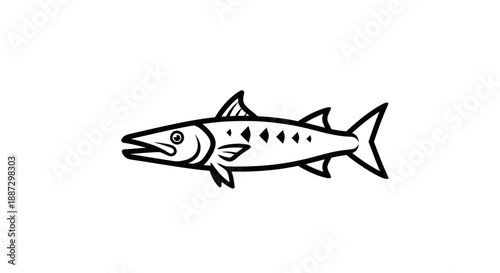 Line drawing of a barracuda, a long, slender fish with sharp teeth and fins