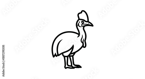 A line drawing of a tall, large flightless bird with a prominent casque