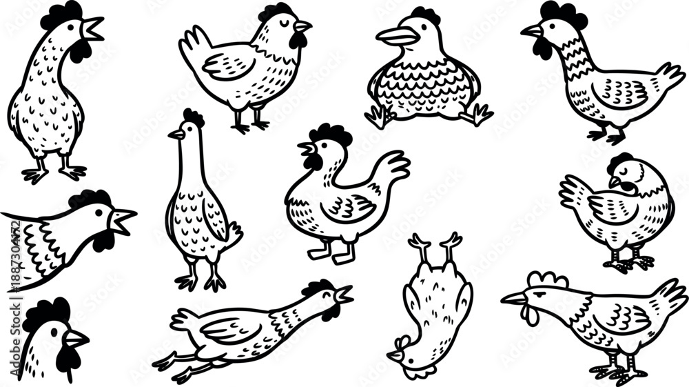 Obraz premium Whimsical doodle illustration of multiple hand drawn chickens in varied poses close up on white background, playful black ink line art