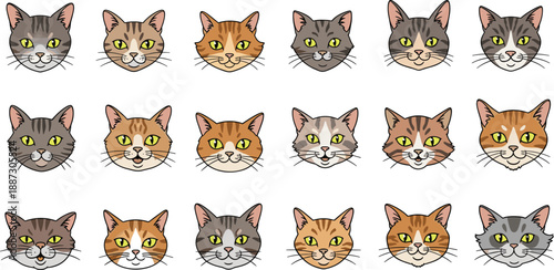 A grid of various cat faces with different colors and patterns displayed in a uniform layout