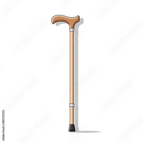 Wooden cane on white background