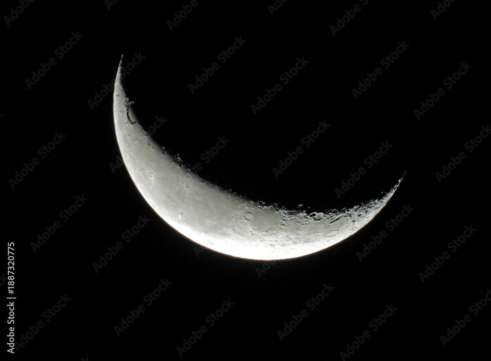 Naklejka premium crescent moon 