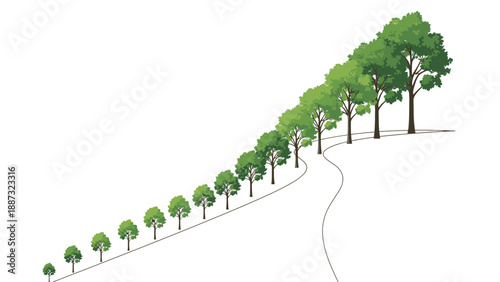 Illustration of a row of trees growing larger and greener along a winding path on a white background, conveying a sense of happy education and growth.