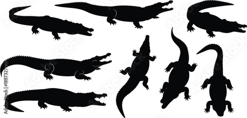 Crocodile and alligator silhouettes set showing different views, poses and movements, black reptile animal shapes isolated on white background for wildlife designCrocodile
