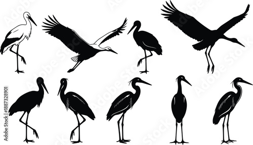 Stork and heron bird silhouettes collection showing flying and standing poses, elegant long leg water birds isolated in black for wildlife, nature, logo, and illustration designs