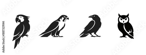Collection of Four Stylized Bird Silhouettes - Parrot, Falcon, Crow, and Owl.