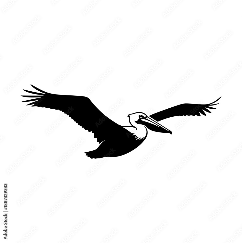 Fototapeta premium Silhouette of a pelican in flight with wings spread wide.