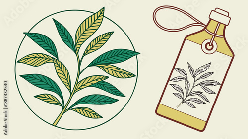 Hand drawn vector illustration of an abstract tropical background featuring palm tree leaves and sun silhouettes for a summer paradise beach landscape design