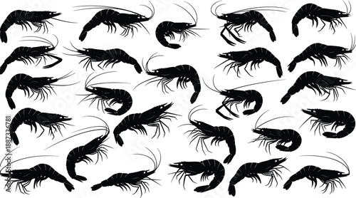 Collection of shrimp and prawn silhouettes showing dynamic marine crustaceans, black vector seafood illustrations for fishing, culinary design, ocean life, and graphic projects