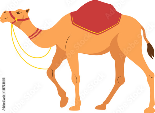Walking Dromedary Camel Illustration
