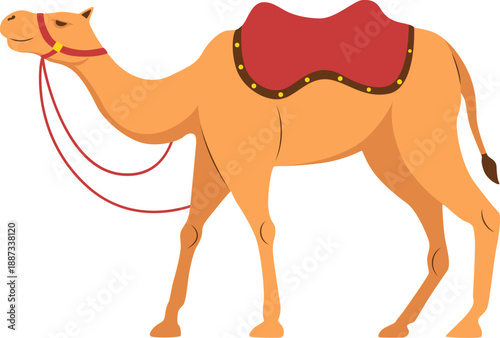 Desert Camel Vector Illustration