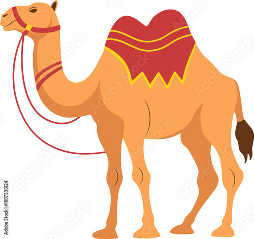 Desert Camel Vector Illustration