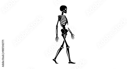 Silhouette Skeleton Walking Pose