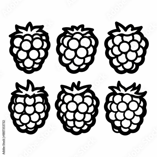 Six black and white line art illustrations of raspberries, presented as simple fruit icons or doodles on a clean white background.
