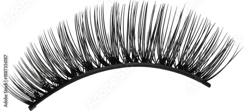 Realistic false eyelash strip vector illustration long dramatic lashes beauty makeup cosmetic accessory isolated salon fashion design