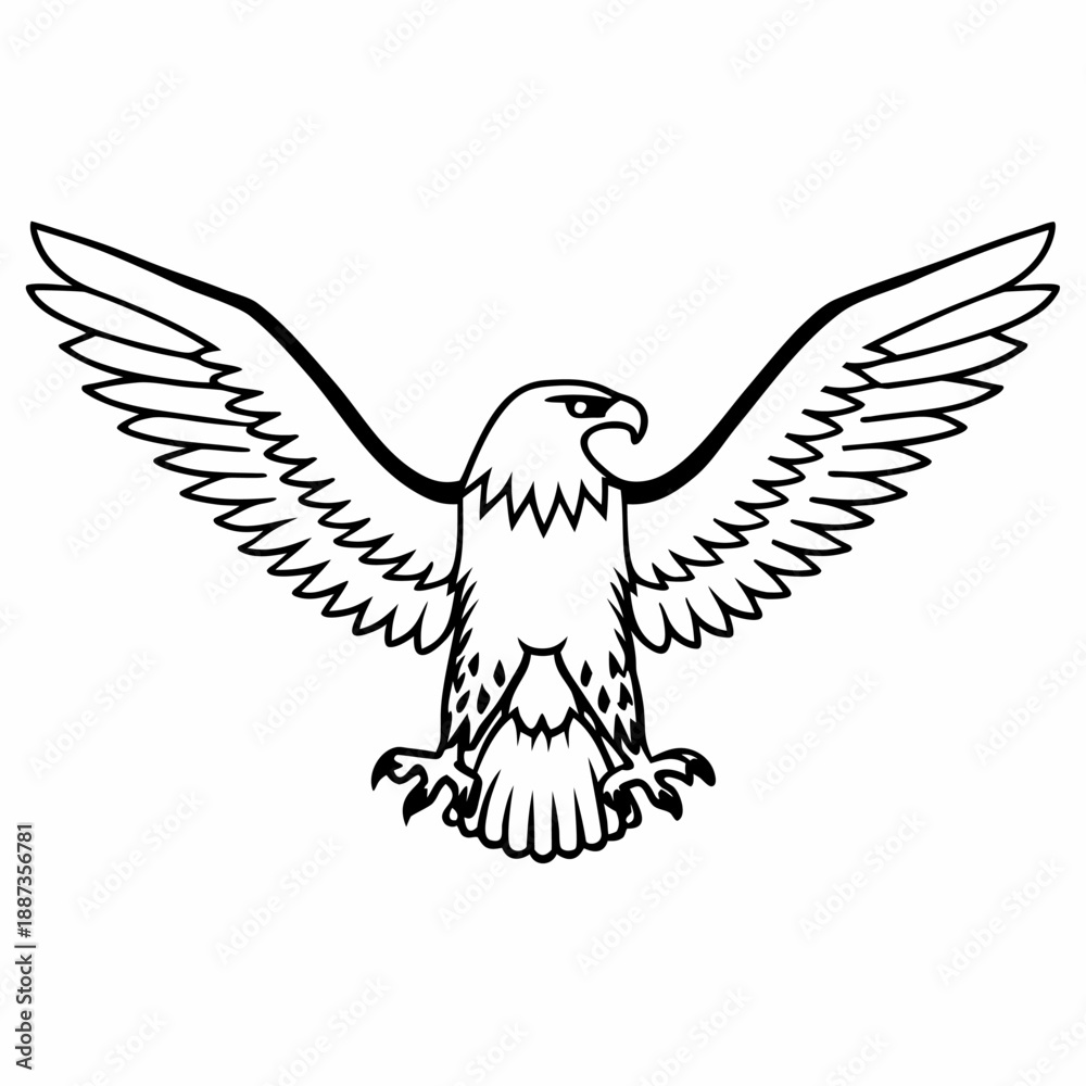 Obraz premium Black and white powerful eagle spread 