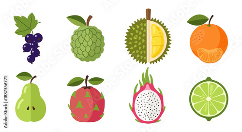 Variety of fresh fruits colorful illustrations of healthy food isolated