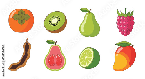 Variety of fresh colorful fruits isolated on white background vector illustration