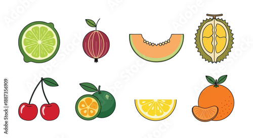 Variety of freshly cut fruits illustrations isolated on white background