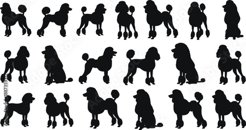 Massive bundle of black silhouettes featuring poodle dogs tailor scissors school children ballet dancers field hockey players samurai warriors and surgical medical instruments