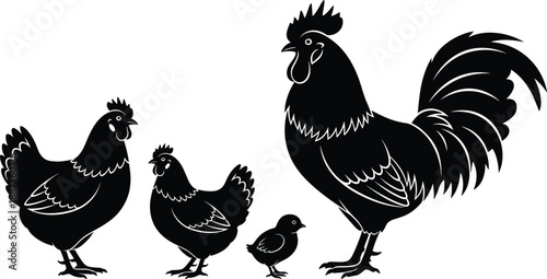 Black vector silhouette set of a rooster hens and a small chick for poultry farm agriculture livestock industry and fresh organic food design,