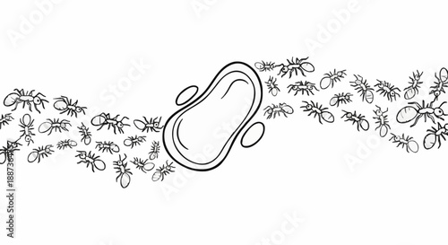 Insects flying around a sanitary pad in a chaotic swarm from a top view