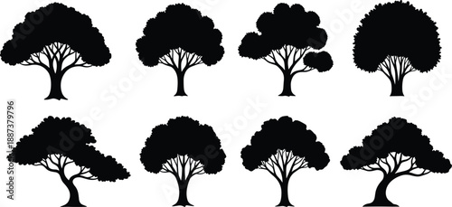 Collection of eight black deciduous tree silhouettes vector illustration set isolated on white background for nature and landscape design.
