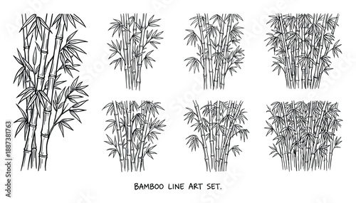 Bamboo line art set with varying densities of bamboo stalks and leaves, drawn in black and white for nature and plant designs.