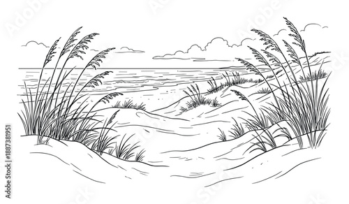 Beach scene line art drawing, sand dunes, sea oats, ocean waves, clouds, and horizon landscape illustration