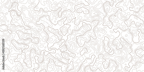 Modern geographic elevation lines design concept