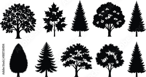 Set of ten black vector tree silhouettes featuring coniferous pine and deciduous oak isolated on white background for nature landscape design.