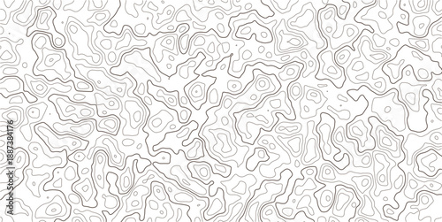 Abstract Topographic Contour Line Map Pattern