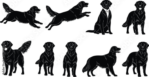 Black dog silhouette set showing playful, running, sitting poses, pet character collection, vintage engraving style animal illustration on white background