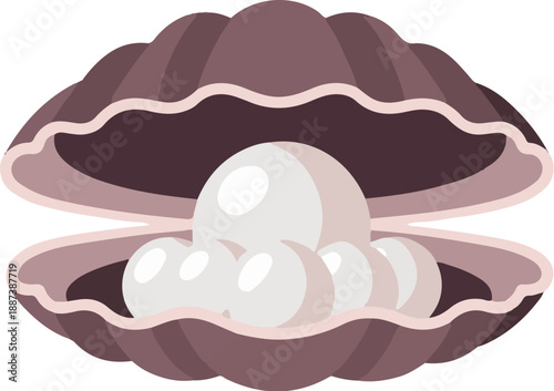 Opened oyster shell reveals a cluster of lustrous, round pearls