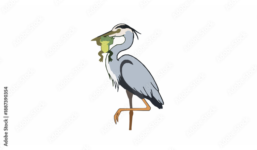 Fototapeta premium Cute heron bird holding frog cartoon vector illustration on white