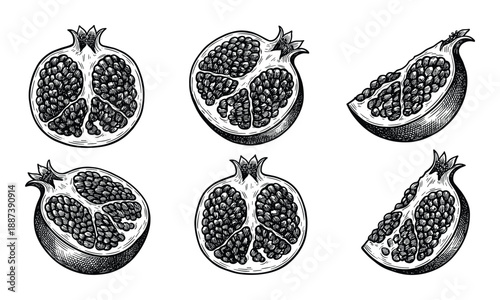 Engraved pomegranate fruit illustration with cross sections, detailed black and white drawing.