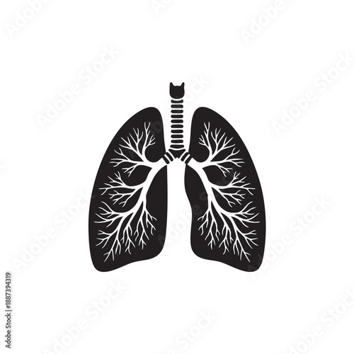 Human lungs silhouette vector illustration. Anatomical respiratory system icon. Black and white medical organ symbol with trachea and bronchial tree isolated on white background. Pulmonary health grap